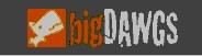  Profile Photos of bigDAWGS promotions 228 Park Avenue South, New York NY 10003, United States - Photo 1 of 1