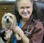 Lone Oak Animal Clinic, Paducah