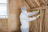 Anthony's Mold And Asbestos LLC, The Bronx