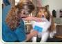  Profile Photos of Man's Best Friend 2641 Westgrove Dr - Photo 8 of 11