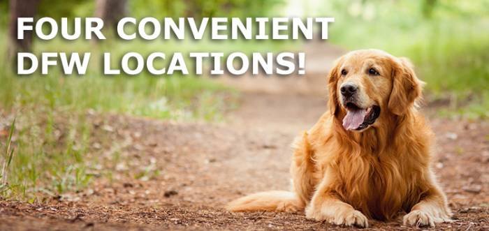  Profile Photos of Man's Best Friend 2641 Westgrove Dr - Photo 10 of 11