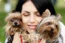  Man's Best Friend 2641 Westgrove Dr 
