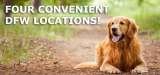  Man's Best Friend 2641 Westgrove Dr 