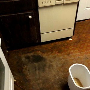  Profile Photos of Long Island Flooded Basement Clean Up serving - Photo 1 of 4