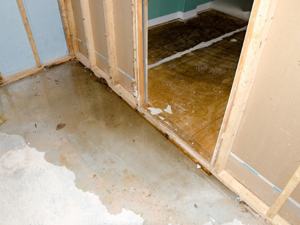  New Album of Water Damage Clean Up Queens N/A - Photo 3 of 3