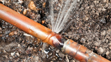 Water Damage Clean Up Queens, Jamaica