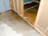 Water Damage Clean Up Queens, Jamaica