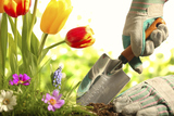 Trejo Landscaping and Demolition, Mesquite