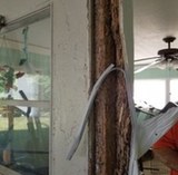 WEST SENECA PEST CONTROL SERVICE, West Seneca