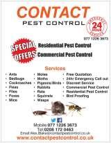 Contact Pest Control, Romford