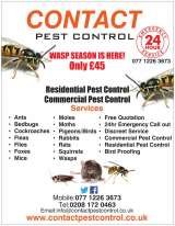 Contact Pest Control, Romford