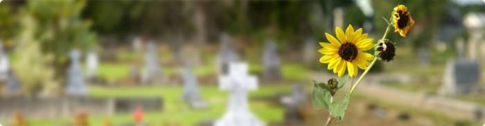 Sussex Funeral Services For Care, Compassion, and Choice Profile Photos of Sussex Funeral Services 185 Portland Road - Photo 1 of 2 Sussex Funeral Services For Care, Compassion, and Choice Profile Photos of Sussex Funeral Services 185 Portland Road - Photo 1 of 2