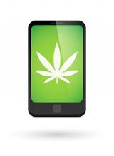 Marijuana SEO, San Diego