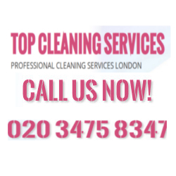  Profile Photos of Top Cleaning Services 61 Elvino Rd - Photo 1 of 1