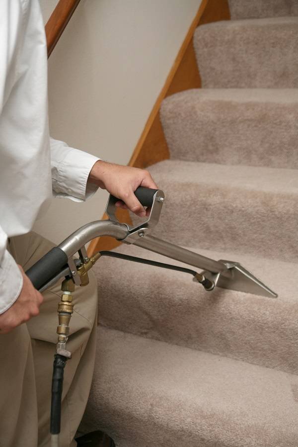  Profile Photos of Catford Carpet Cleaners 179 Brownhill Road - Photo 3 of 8