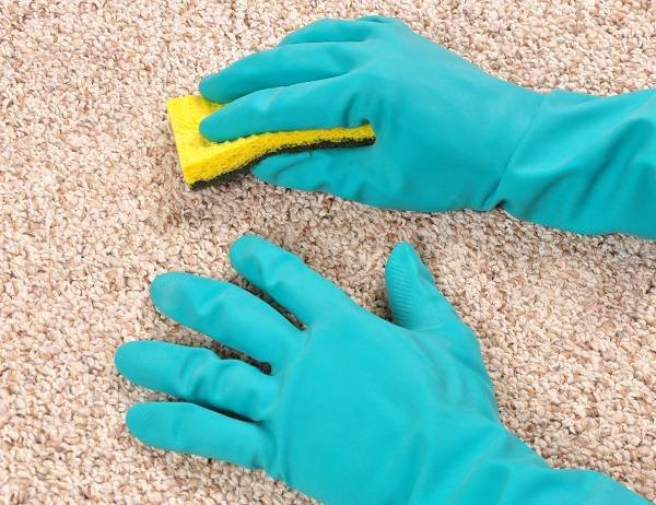 Profile Photos of Catford Carpet Cleaners 179 Brownhill Road - Photo 6 of 8