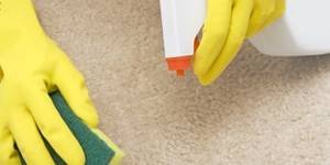  Profile Photos of Cleaners Leyton 395 High Road Leyton - Photo 1 of 1