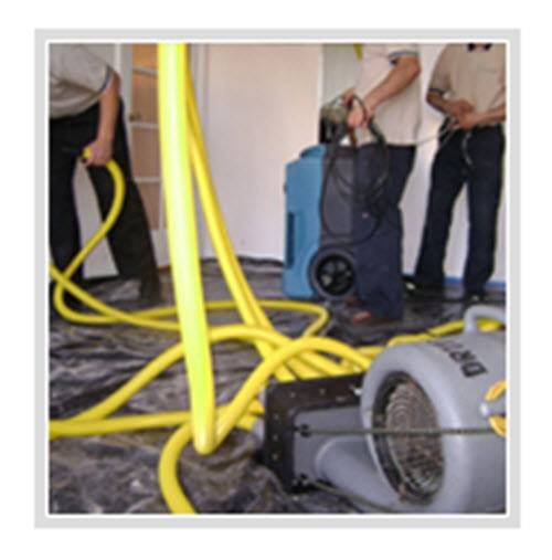  Profile Photos of Inglewood Carpet And Air Duct Cleaning 9401 S. Van Ness Ave - Photo 3 of 11