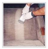  Inglewood Carpet And Air Duct Cleaning 9401 S. Van Ness Ave 