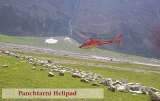  Amarnath Yatra By Helicopter 1/531, Vikas Puri 