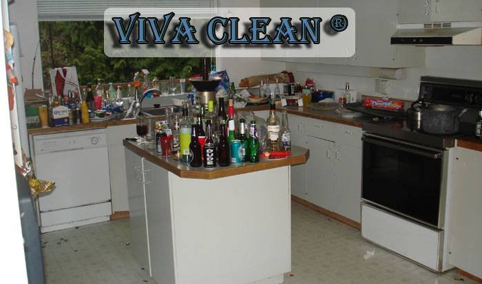  Profile Photos of Vivaclean 87 Openshaw Road - Photo 2 of 13