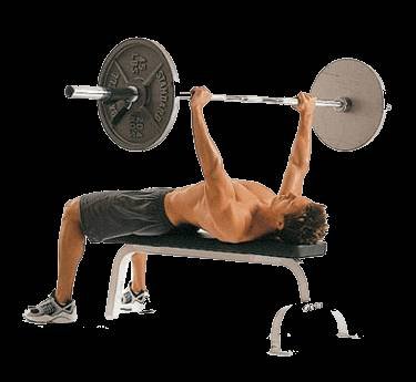  Profile Photos of Personal Trainer Ottawa 195 Bank Street - Photo 8 of 8
