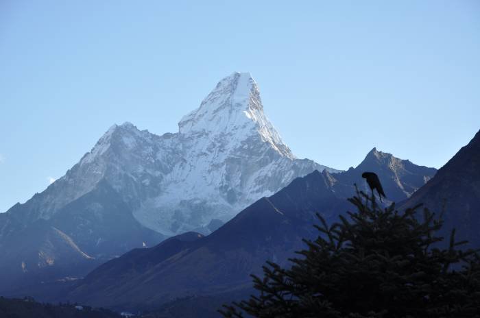  Profile Photos of Everest Base Camp Trekking Amrit Marga, Thamel - Photo 1 of 1
