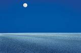 Kutch Rann Utsav Online Booking, Ahmadabad City