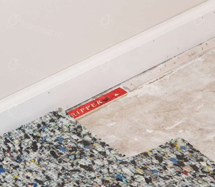 Our Services of Flood Damage Pro 57 Mason St - Photo 2 of 8