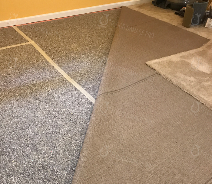  Our Services of Flood Damage Pro 57 Mason St - Photo 3 of 8
