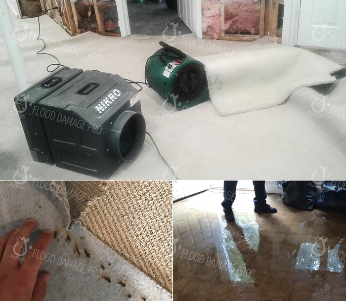  Our Services of Flood Damage Pro 57 Mason St - Photo 8 of 8