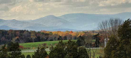  Pricelists of Charlottesville Real Estate 937 Tilman Rd - Photo 4 of 7