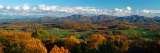 Menus & Prices, Charlottesville Real Estate, Charlottesville