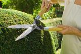 JK Landscaping LLC, Grove City