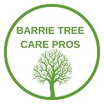  Profile Photos of Barrie Tree Care Pros 2-620 Veterans Drive, Unit 18 - Photo 1 of 1