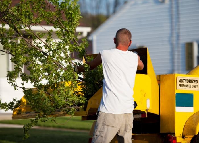 Tree Chipping Barrie ON New Album of Barrie Tree Care Pros 2-620 Veterans Drive, Unit 18 - Photo 5 of 6