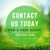 Barrie Tree Care Pros, Barrie