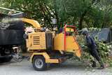 wood chipping services barrie ON, Barrie Tree Care Pros, Barrie