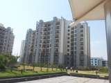 Residential Apartment, noida