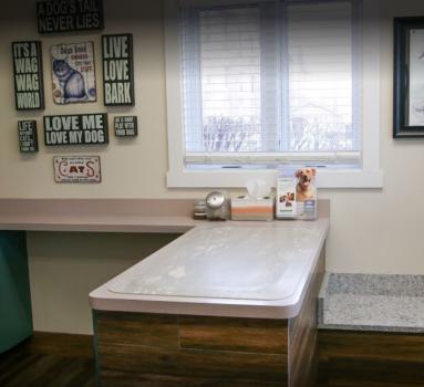  Profile Photos of Mokena Animal Clinic 9455 W 191st St - Photo 4 of 4