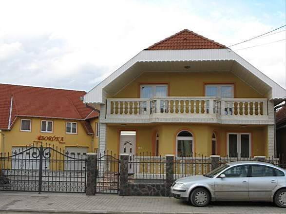  Boroka Panzio of SuperPensiuni Teiul Doamnei - Photo 11 of 21