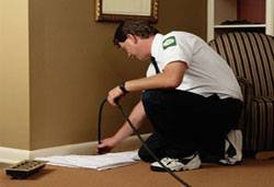 carpet_cleaning Profile Photos of All Type Cleaning 99 Claude Road - Photo 1 of 4