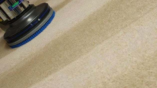  Carpet Cleaning of Citrus Carpet & Tile Cleaning 2904 Castnet Ct - Photo 1 of 6