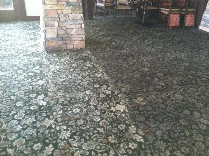  Carpet Cleaning of Citrus Carpet & Tile Cleaning 2904 Castnet Ct - Photo 2 of 6