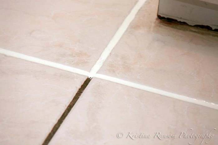  Carpet Cleaning of Citrus Carpet & Tile Cleaning 2904 Castnet Ct - Photo 3 of 6