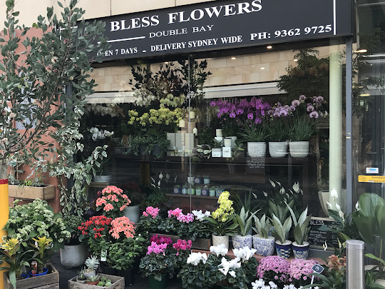  Pricelists of Bless Flowers - Fast flowers delivery in Sydney & suburb Shop 22 Roma arcade, 413-417 New South Head Rd,  Double Bay, NSW - Photo 3 of 9