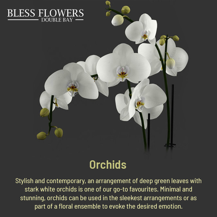 Bridal Flowers by Darlinghurst Florist in Sydney<br />
<br />
 Sydney Florwers Delivery of Bless Flowers - Fast flowers delivery in Sydney & suburb Shop 22 Roma arcade, 413-417 New South Head Rd,  Double Bay, NSW - Photo 5 of 6