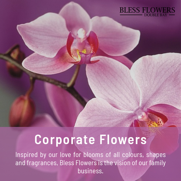 Corporate Flowers from Darling Point florist in Sydney<br />
 Sydney Florwers Delivery of Bless Flowers - Fast flowers delivery in Sydney & suburb Shop 22 Roma arcade, 413-417 New South Head Rd,  Double Bay, NSW - Photo 1 of 6