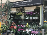  Bless Flowers - Fast flowers delivery in Sydney & suburb Shop 22 Roma arcade, 413-417 New South Head Rd,  Double Bay, NSW 