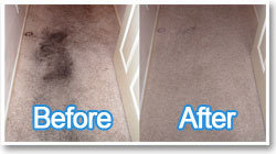  Profile Photos of Carpet Cleaning Houston TX 4323 San Felipe St - Photo 1 of 2